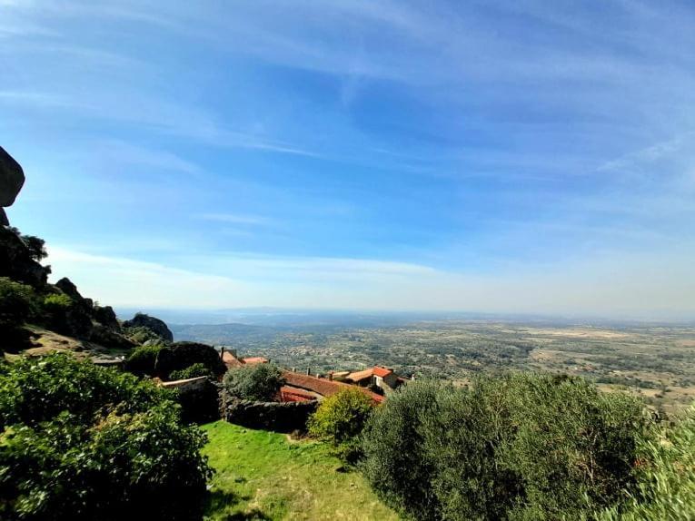 Casa Vinte & Cinco Alojamento Local Пенья-Гарсиа Экстерьер фото